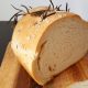 Roasted garlic and rosemary bread
