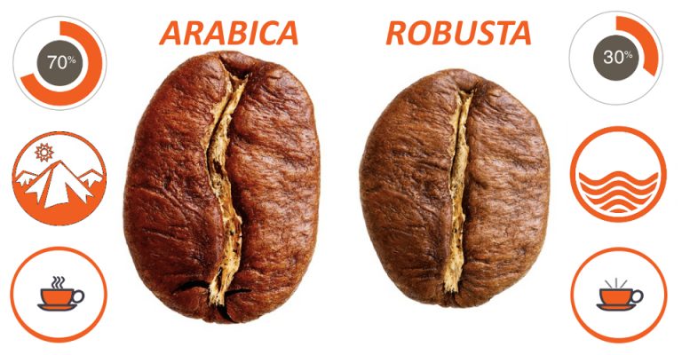 Arabikos ir robustos kavos skirtumai