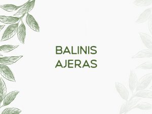 Balinis ajeras — Acorus calamus L.