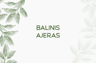 Balinis ajeras — Acorus calamus L.