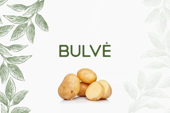 Bulvė — Solanum tuberosum L.