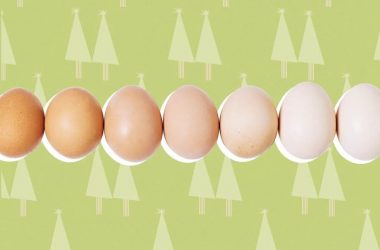 Kiaušinių nauda, Kuo naudingi kiaušiniai?