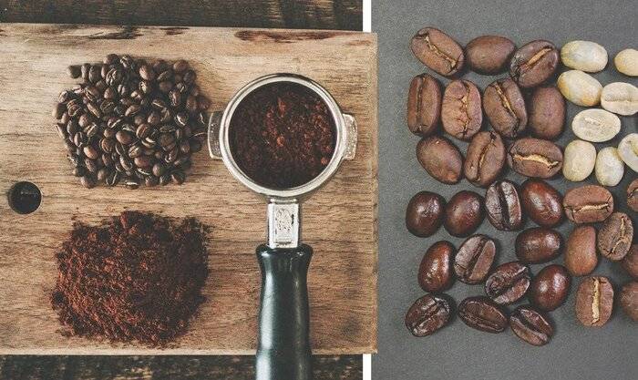Rūšinė kava – kas tai yra?